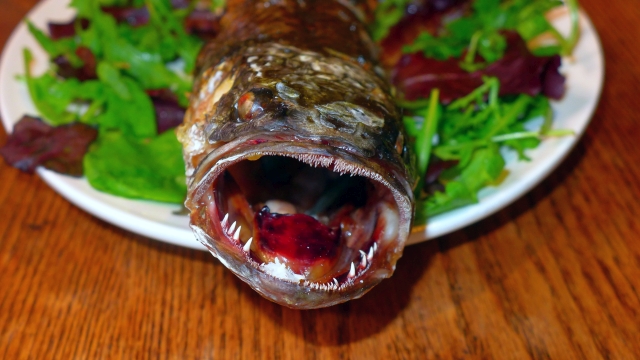 How to grill snakehead fish
